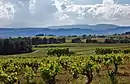 Valls de l'Anoia