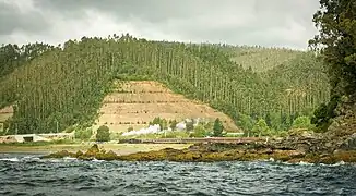 Golfo de Arauco