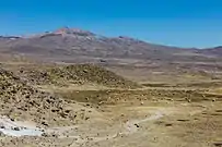 Vicuñas (Vicugna vicugna) en la reserva.