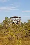 Torre de observación.
