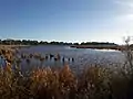 Vista temprana. Península Ruca Có