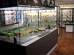 Sección Geología, Mineralogía y Petrología