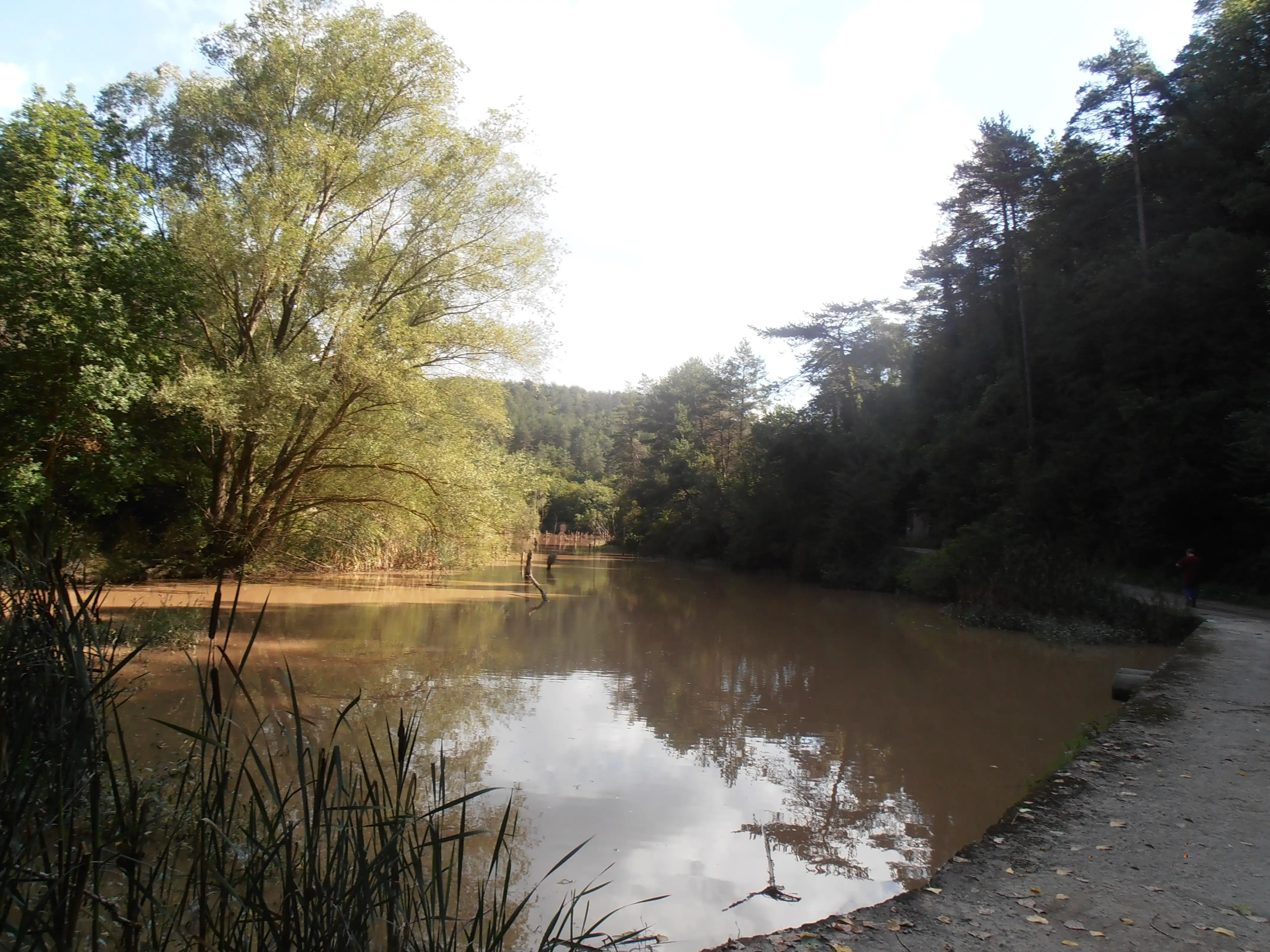 Riera de Sorreigs