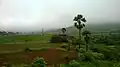 Ghats Occidentales vistos desde la vía férrea Coimbatore-Shoranur