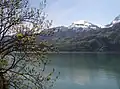 El lago con la sierra Churfirsten al fondo