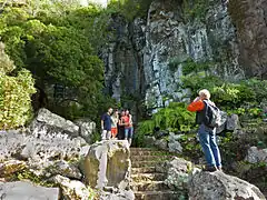 La cascada