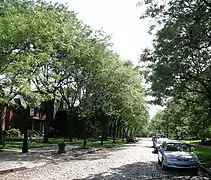 Paisaje urbano de West Canfield