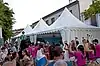Fiesta de la Tenca