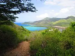 Yapascua