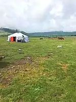 Yurta nómada