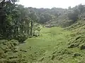 Se puede observar el límite entre  áreas forestadas y desoladas, estudiar esta área es vital  en la conservación