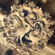 San Jorge (sobre la fuente del claustro)