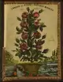 Lenguaje de las flores o historias morales de H. Duru, 1830