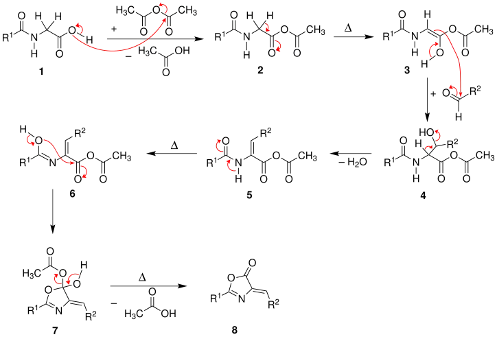 Mecanismo de la síntesis de aminoácidos de Erlenmeyer