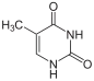 Estructura química de la timina