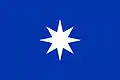 Bandera mapuche con un guñelve, posiblemente utilizada por las tropas mapuches c.siglo XVIII.
