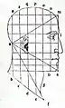 Grabado de Luca Pacioli de De divina proportione (1509) con un triángulo equilátero sobre un rostro humano