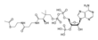 Imagen de la estructura