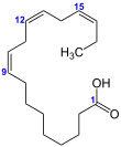 Imagen de la estructura