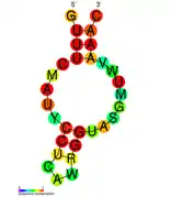 CRISPR-DR2:  Estructura secundaria tomada de la base de datos Rfam Familia   RF01315.