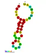 CRISPR-DR8:  Estructura secundaria tomada de la base de datos Rfam Familia   RF01321.