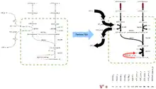 The equivalence of the flux vector and weighted reaction lines.