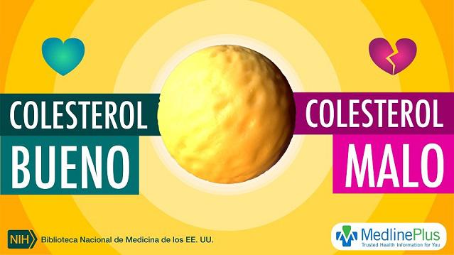 Colesterol bueno y colesterol malo